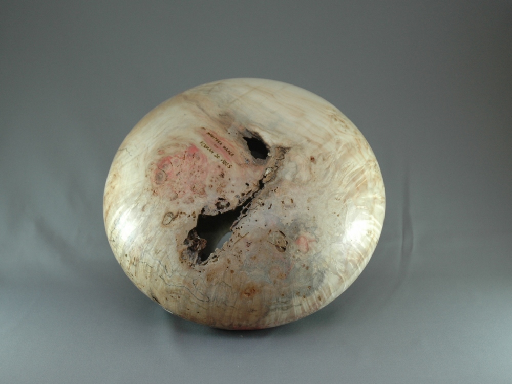 Manitoba Maple Hollow Form - Bottom